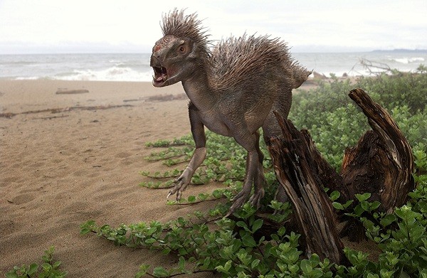 Tổng[-]hợp[-]những[-]khám[-]phá[-]"điên[-]rồ"[-]nhất[-]năm[-]2012[-]7